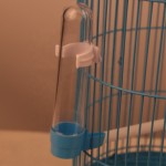 鸟笼生产商-批发热销小型圆顶