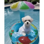 宠物救生衣供应商-环保充气游泳