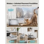 自动饮水机厂家-热销4000mAh无线感应塑料