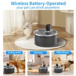 猫饮水机厂家-新款2025可定制静音运行2.8L