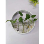 硅胶餐具套装供应商-8件经典儿童用餐