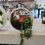 悬挂花盆生产商-批发多肉锻造几何