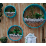 悬挂花盆生产商-批发多肉锻造几何