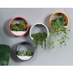 金属墙挂盆供应商-铁圆环形纤维玻璃花园