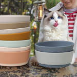 儿童碗生产商-不含BPA闪亮荣耀高端