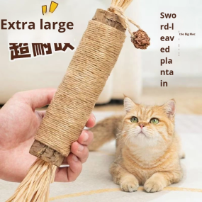 Cat Chew Sticks Manufacturer - Natural Matatabi with Raffia for Teething Kittens