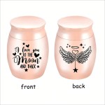 宠物纪念 urn厂家-不锈钢项链纪念品骨灰吊坠