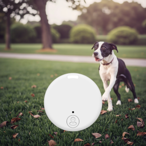Smart Tracker Supplier - Portable Wireless Tag with Bidirectional Alert
