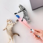 猫逗猫笔厂家-2合1激光红激光LED灯