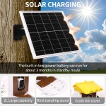 太阳能鸟喂食器厂家-新款防松鼠AI识别物种