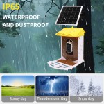 智能鸟喂食器厂家-带摄像头AI识别自动记录