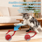 智能猫玩具厂家-批发自动滚球带尾可充电