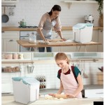 米储存容器厂家-蓝色55磅带轮防漏PP