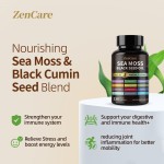 Sea Moss Capsules Factory - Wholesale Herbal Vegan Supplement