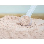 Whey Protein Powder Factory - Wholesale Gold Standard Nutrition