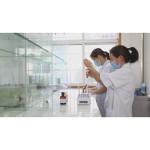Whey Protein Manufacturer - OEM Fitness Supplement Powder