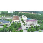 Calcium Magnesium Zinc Tablet Manufacturer - Water Soluble Dietary
