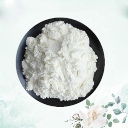 Whey Protein Powder Factory - OEM 1LB Grass Fed Unflavored