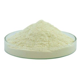 Whey Protein Manufacturer - OEM Fitness Supplement Powder