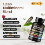 Sea Moss Capsules Factory - Wholesale Herbal Vegan Supplement
