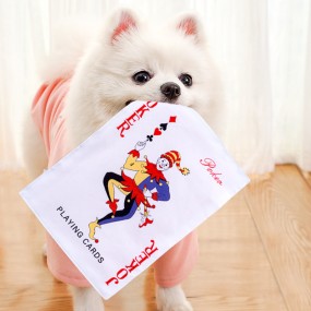 Dog Squeaky Toy Supplier - RTS Newspaper Crinkle Paper Sound Chew Toy