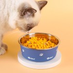 猫食碗厂家-可拆卸不锈钢高架防滑喂食器