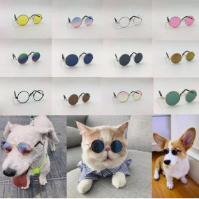Pet Accessories Glasses Supplier - Dogs Cats Harness Accessory Puppy Decorations