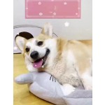 除虱项圈厂家-去除蜱虱防蚊虫可挣脱