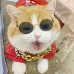 宠物太阳镜厂家-宠物产品心形太阳镜小号用