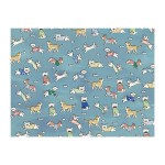 宠物垫厂家-高品质现代PVC冰丝凉爽感