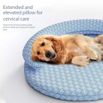 狗背心厂家-秋冬季毛绒刺绣熊温暖套头