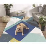 宠物训练垫厂家-批发60*90超吸水防漏一次性