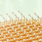 宠物针梳厂家-向日葵可爱自动伸缩去毛