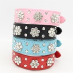 宠物背带厂家-小狗套装带便盆防逃脱