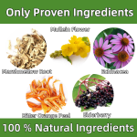 犬用液体补充剂厂家-天然咳嗽关节健康