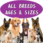 犬用药丸膏生产商-可定制花生酱味