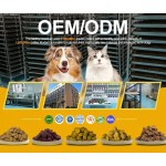 三文鱼油供应商-天然皮肤水分免疫支持