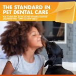 宠物牙科水厂家-可定制天然清洁