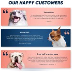 犬用爪膏生产商-可定制现货