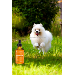 益生菌滴剂供应商-液体免疫肠道健康