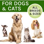 止咳剂生产商-犬窝咳犬猫缓解