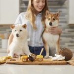 犬用爪膏厂家-私标2盎司