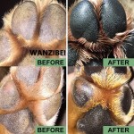 Eco-Friendly Paw Balm Manufacturer - Stocked Heals Soothes