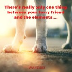 Eco-Friendly Paw Balm Factory - Private Label 100% Natural