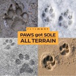 犬用爪膏厂家-私标2盎司