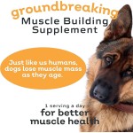 肌肉建设补充剂供应商-可定制自然衰老恢复