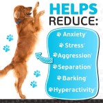 犬用镇静软嚼片供应商-可定制行为支持放松