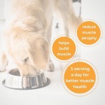 肌肉建设补充剂供应商-可定制自然衰老恢复