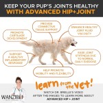 犬用髋关节咀嚼片厂家-MSM活动支持170片