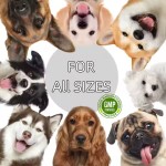 山羊奶粉厂家-可定制标签营养